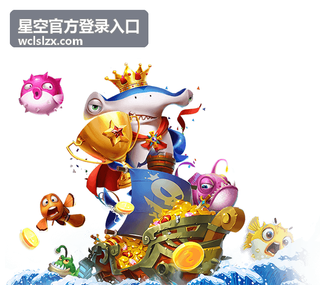 荣耀与遗憾：上一届世界杯亚军留下的足球记忆 - 星空官方登录入口